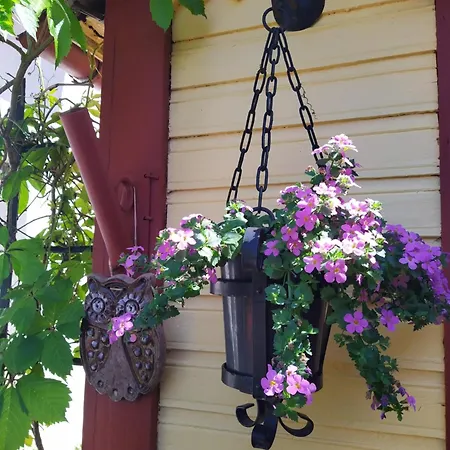 Romantic Seaside House