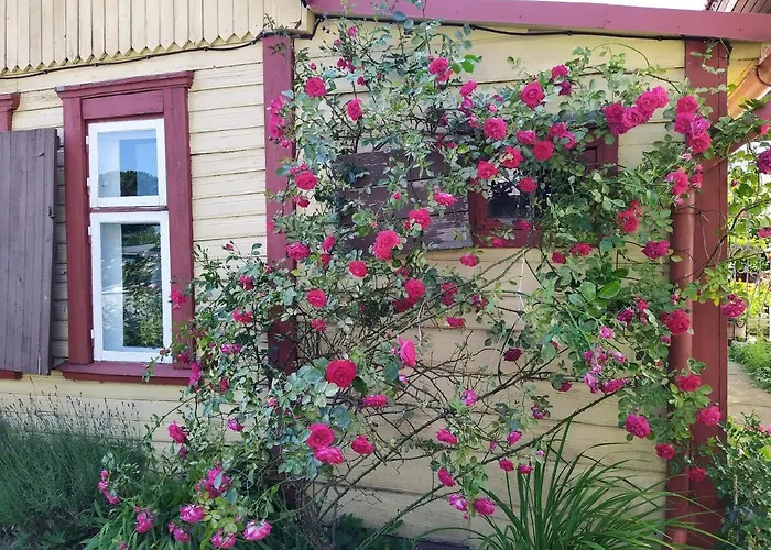 Romantic Seaside House